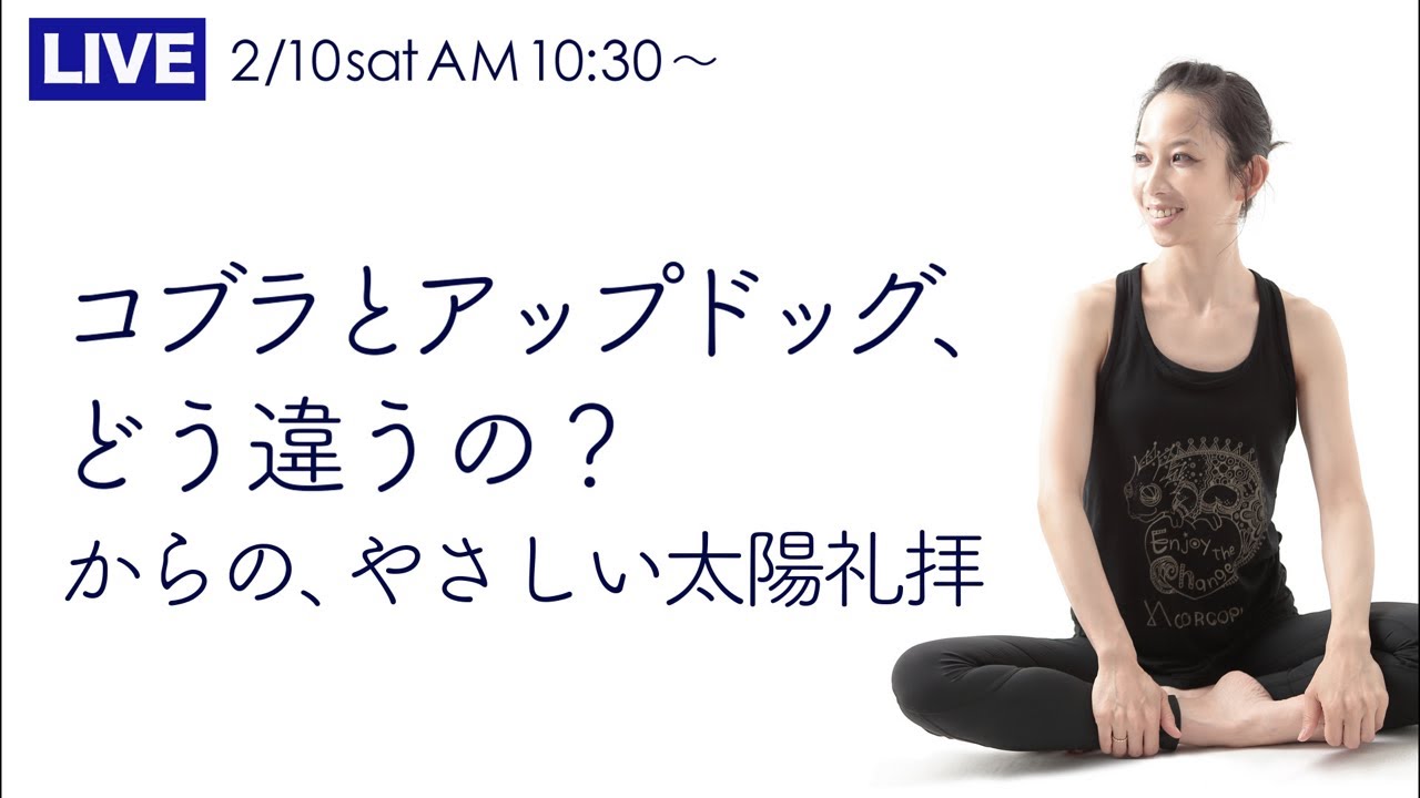 コブラとアップドッグ、どう違う?やさしい太陽礼拝