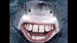 Battlefield 4 Unsq Fun Time - Fishing Time