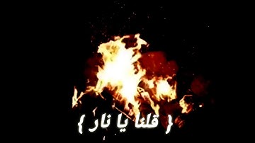 قلنا يا نار كوني بردا وسلاما على ابراهيم ناصر القطامي تلاوة مؤثرة حالات واتس اب