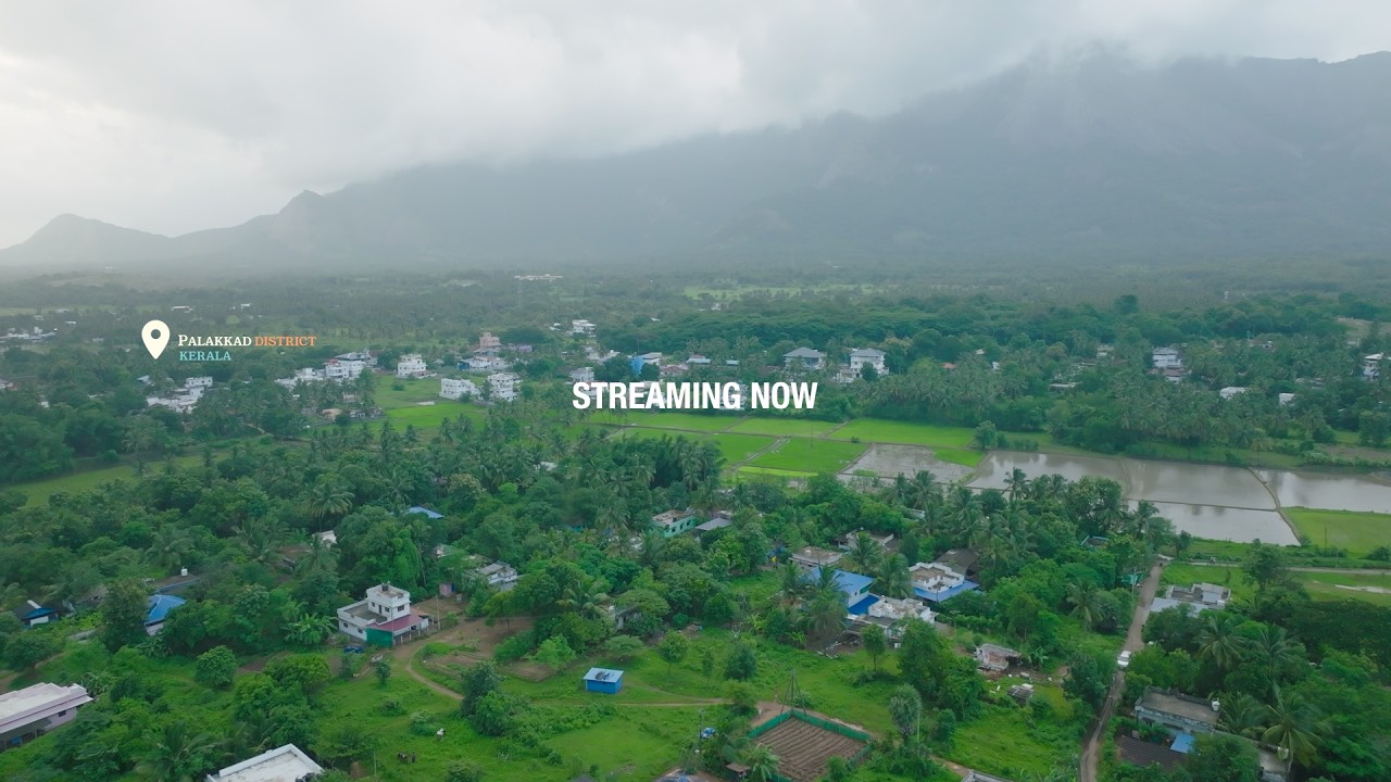 The Second Harvest | Hope In Motion