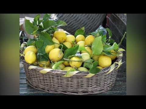 ლიმონი – ნატურალური ანტისეპტიკური საშუალება