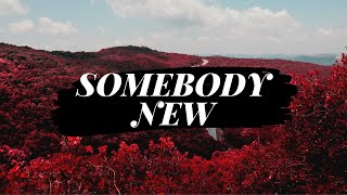 The Struts - Somebody New (Sub. Español) chords