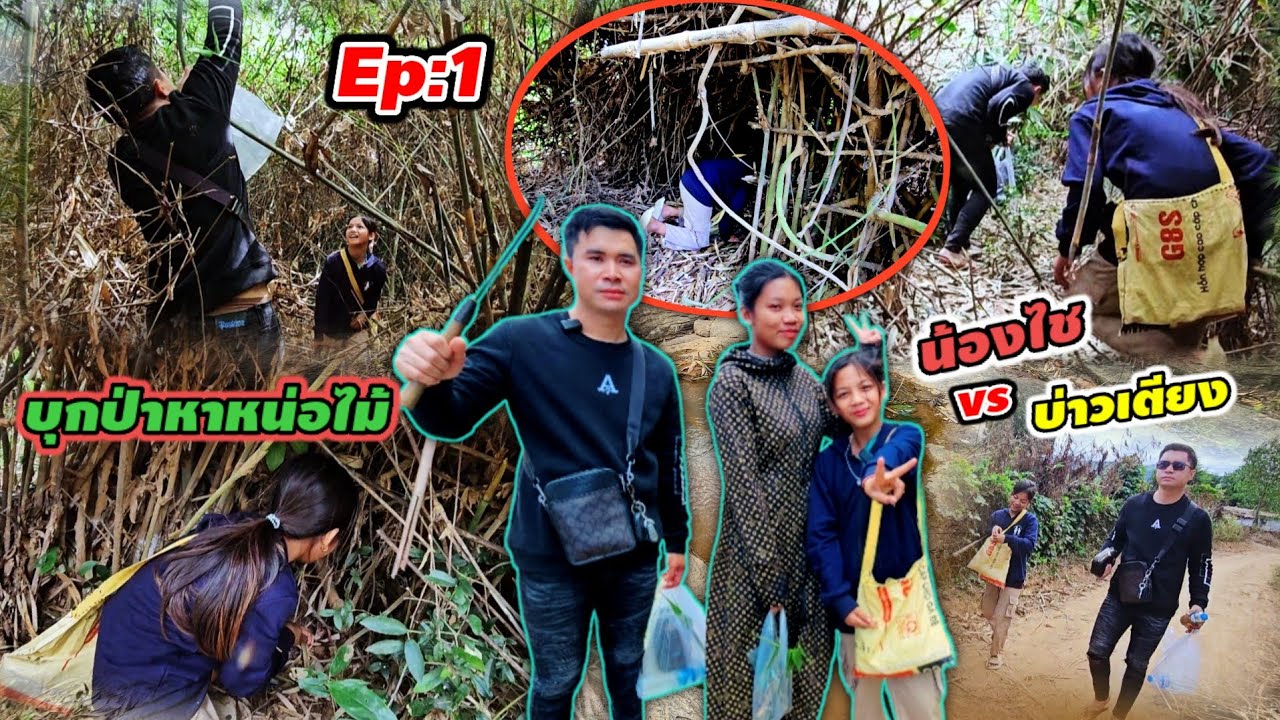 น้องไชพาบุกป่าหาหน่อไม้ ครั้งแรกในชีวิต 14 ธันวาคม ค.ศ. 2024