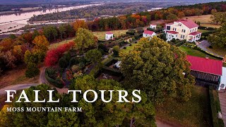 Glimpse into a Fall Tour at Moss Mountain Farm