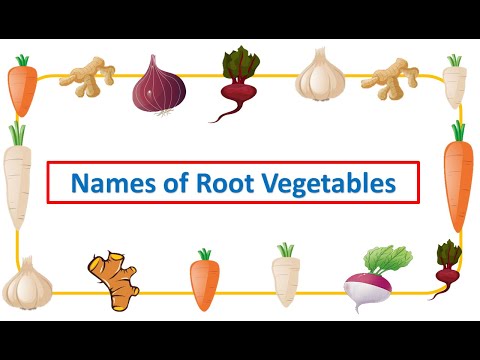 Wideo: Co jedzą warzywa korzeniowe?