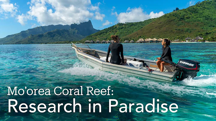 Mo'orea Coral Reef: Research in Paradise