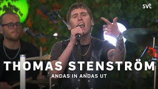 Thomas Stenström - Andas in andas ut | Allsång på Skansen 2023 | SVT