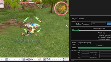 Infynia Flyff Free LevelBot