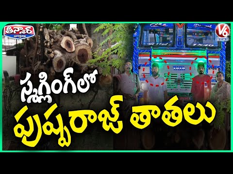 Police Crack Down on Illegal Wood Transportation in Madhya Pradesh | Khammam | V6Teenmaar - V6NEWSTELUGU