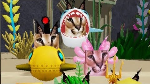 How to get mermaid floppa and shark floppa in find the floppa morphs