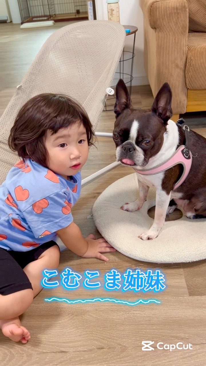 こむちゃんねる - YouTube