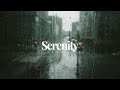 The serenity you need in your life  deep chill music  moody guy