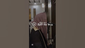 محمد اللحيدان سورة النجم #quraan #اكسبلور #yasseraldosari #quran #quranic #yasseraldossari
