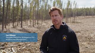 Wildfire risk reduction - Fuel management