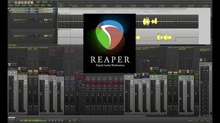 SET SELECTED TRACKS INSIDE FOLDER