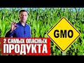 Продукты, содержащие ГМО ► Чем опасны соя и кукуруза? 🔴