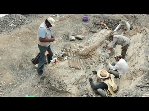 Dinosaur tail discovered in Mexican desert