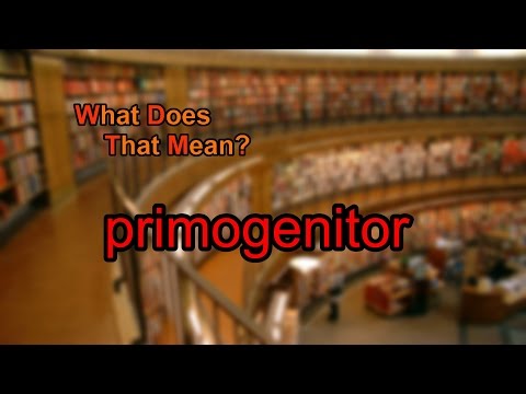 Video: Was ist die Definition von Primogenitor?