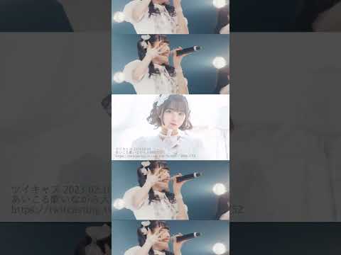 掃除しながらアイドルライフスターターパック（からのクシコス・ポスト）