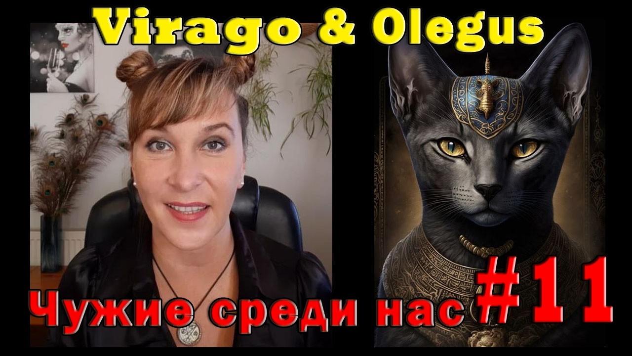 Философские идеи демонов. VIRAGO & Olegus