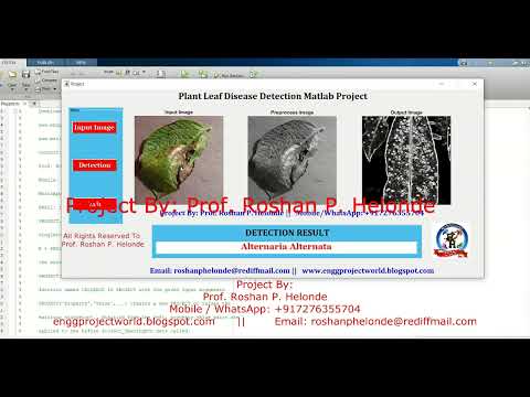Plant Disease Detection Using Image Processing | With Source Code | Plant Disease Classification