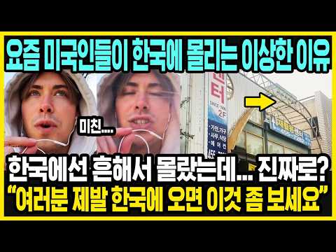 한국인만 몰랐던, 미국인들이 말하는 한국의 진짜 충격적인 매력 | 한국 여행가는 외국인 특징 | 미국과 한국의 차이 thumbnail