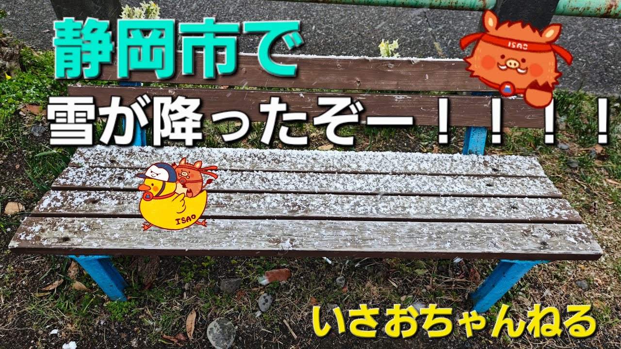 静岡市で雪が降ったぞー！！！！@isaoshizuoka 