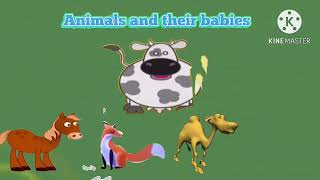Animal Learning | Animals And Their Babies
