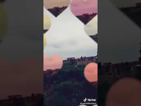 عمت عين المكابر شالت سباع