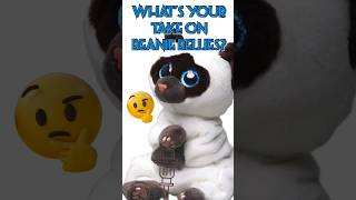 beanie BOO fans, do you like ty's new beanie BELLIES? 🤔 #shorts #beanieboos #fyp
