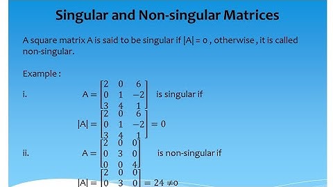 Lecture 9: Singular and Non - Singular matrices in Urdu / Hindi.