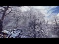 Beauty cold  unreal engine