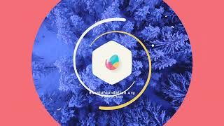 Simple flat logo intro 138