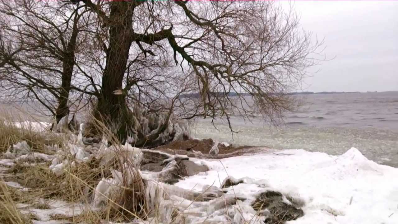 Frühlingsspaziergang am Peenestrom/Usedom