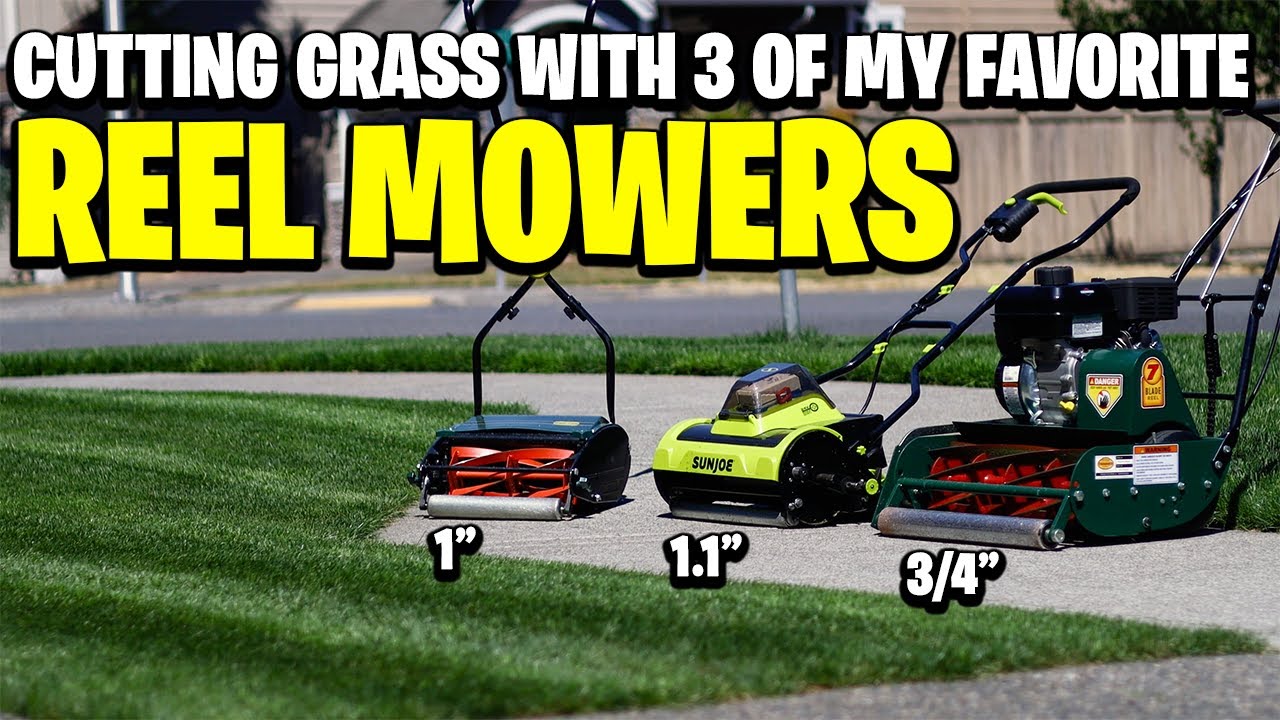 Cutting Kentucky Blue Grass with 3 of my favorite reel mowers 😊 SUNJOE  CORDLESS WEBB H12R CALI TRIM 