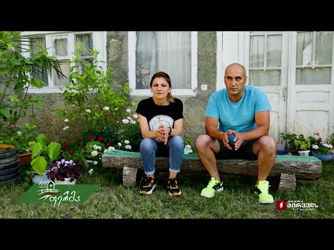 #არტიშოკი თბილისელი ცოლ-ქმრის ბიზნესად ქცეული ჰობი კისისხევში