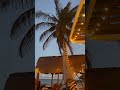 Vacation trip to Playa del Carmen Mexico. And of course we travel with our puppy. #vacation #mexico