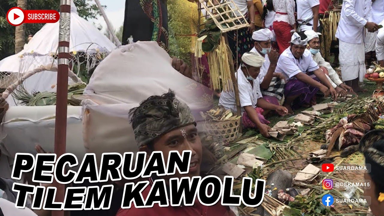 MECARU TILEM KAWOLU-DESA NAGASEPAHA