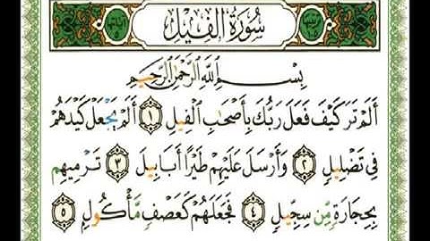 105 سورة الفيل شيرزاد عبد الرحمن طاهر 1