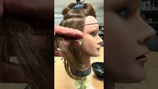 Learn basic highlighting GCSE technicals NVQ Level 2