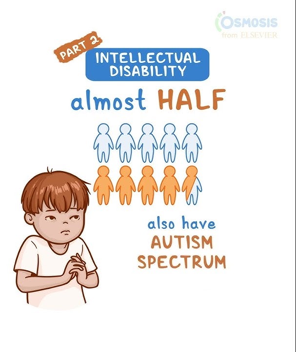 Intellectual Disability pt 2
