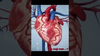 മസ യതര122024 To Bethlehem