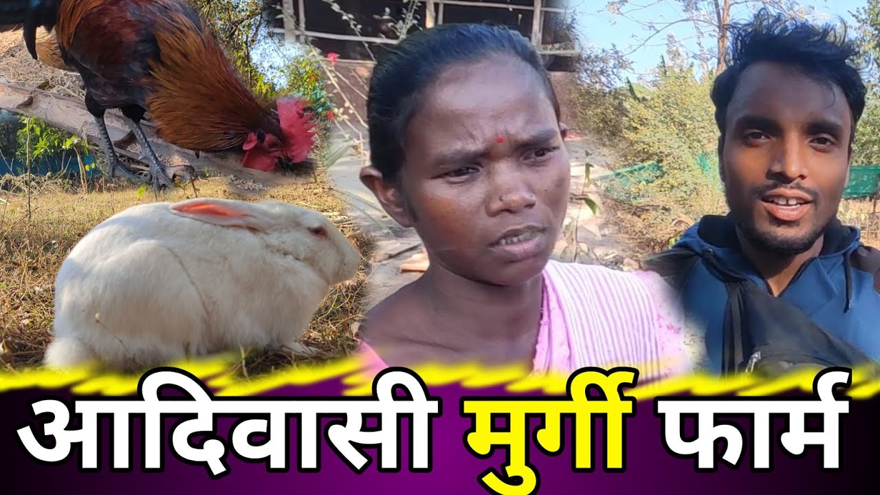 आदिवासी मुर्गी फर्म💥देशी मुर्गी फर्म नौकर से मालिक बनने सपना ❤Kumhrbhaza Littipara Pakur Jharkhand