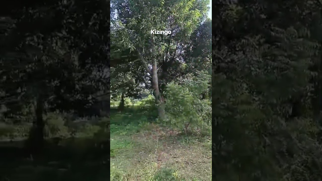 1 1/2 Acre on Sale in Kizingo