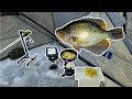 Catch N Cook in the Otter (Big Crappies Released)
