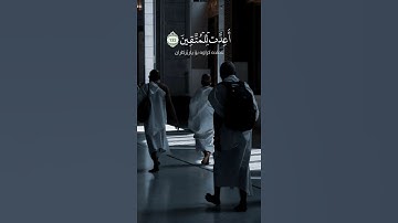 شيخ سعد الغامدي اجمل حالات واتس اب دينية سورة آل عمران وسارعوا إلى مغفرة من ربكم...🌿💙
