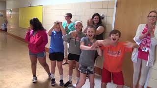 Senior Walk June 7th 2018