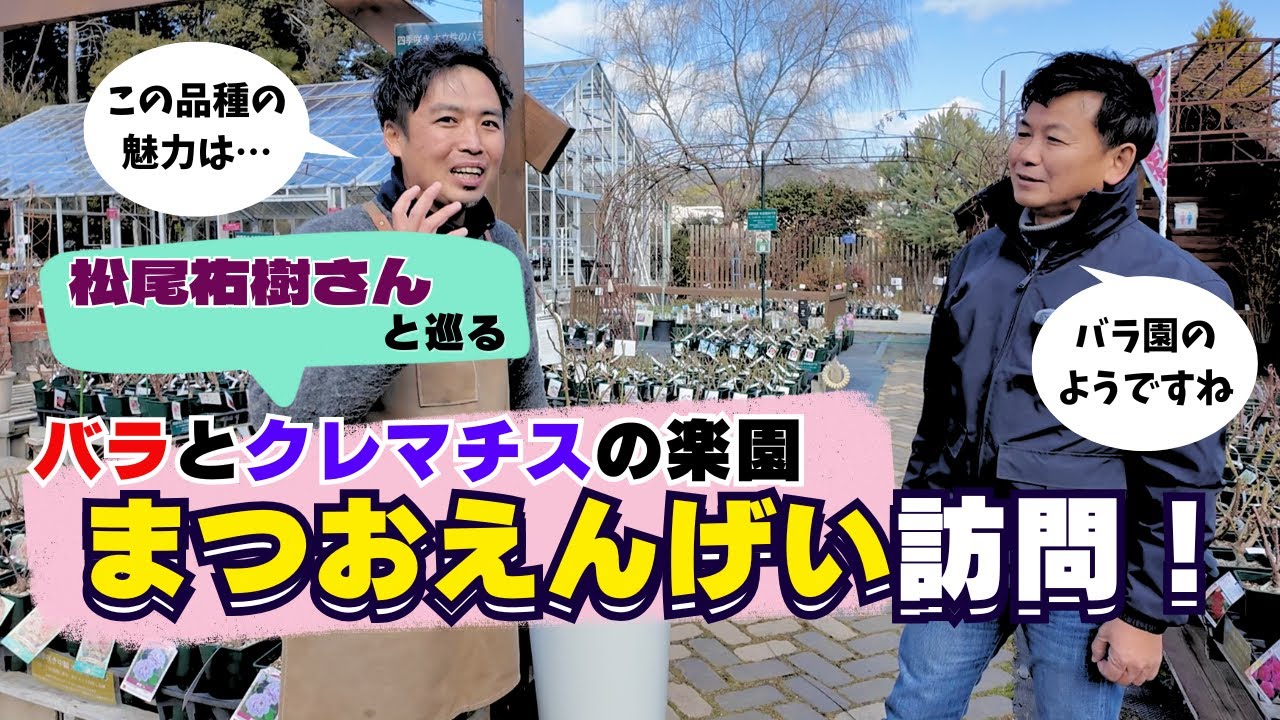京都まつおえんげい】バラとクレマチスの楽園をゆうきさんと巡る贅沢ツアー
