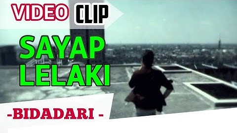 Sayap laki bidadari