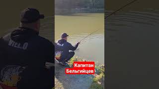 #youtubeshorts #youtuber #fishing #troutfishing #рекомендации #рек #врек #рыбалка